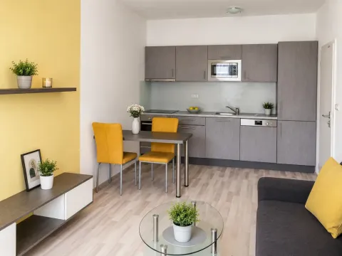 Pronájem bytu 2+kk, Brno - Slatina, Kigginsova, 42 m2