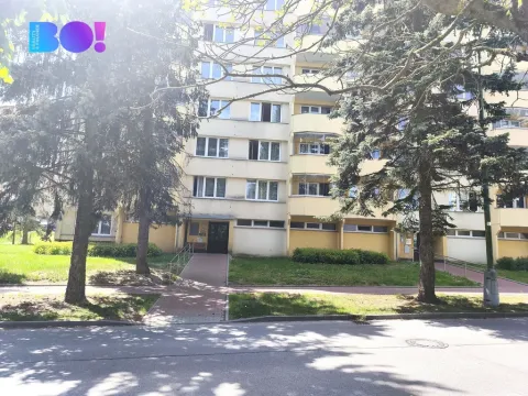 Prodej bytu 3+1, Pelhřimov, Dolnokubínská, 61 m2