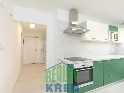 Pronájem bytu 2+1, Praha - Sedlec, V Sedlci, 50 m2