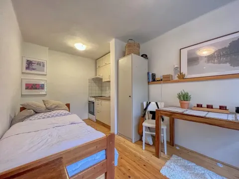 Pronájem bytu 1+kk, Liberec, Puchmajerova, 25 m2