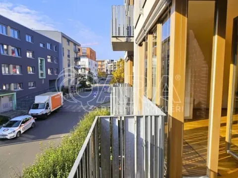 Pronájem bytu 2+kk, Praha - Žižkov, Olgy Havlové, 50 m2