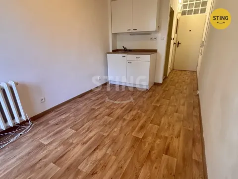 Pronájem bytu 1+kk, Opava, Haškova, 14 m2