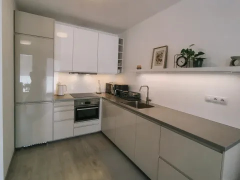Pronájem bytu 1+kk, Plzeň, Kollárova, 56 m2