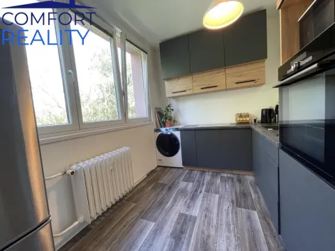 Prodej bytu 2+1, Ostrava - Moravská Ostrava, Petra Křičky, 55 m2