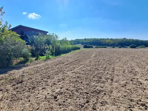 Prodej pozemku pro bydlení, Hrušovany u Brna, Pod Střediskem, 608 m2
