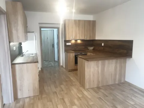 Pronájem bytu 2+kk, Plzeň - Jižní Předměstí, Vrchlického, 54 m2