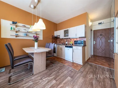Prodej bytu 1+1, České Budějovice - České Budějovice 2, J. Opletala, 36 m2