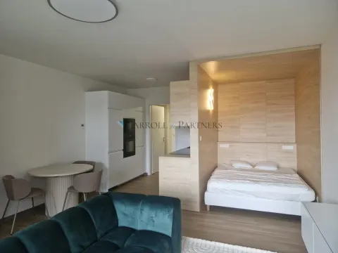 Pronájem bytu 1+kk, Ostrava - Slezská Ostrava, U Hájenky, 38 m2