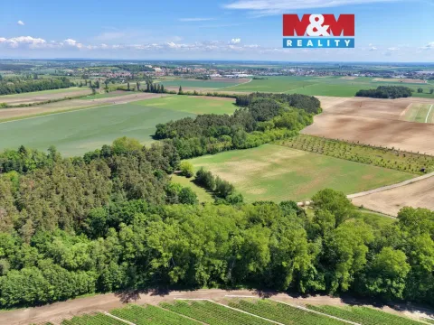 Prodej lesa, Lysá nad Labem, 5227 m2