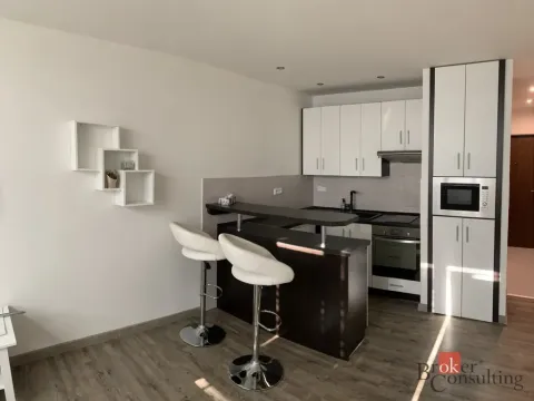 Pronájem bytu 1+kk, Ostrava - Moravská Ostrava, Gen. Píky, 26 m2