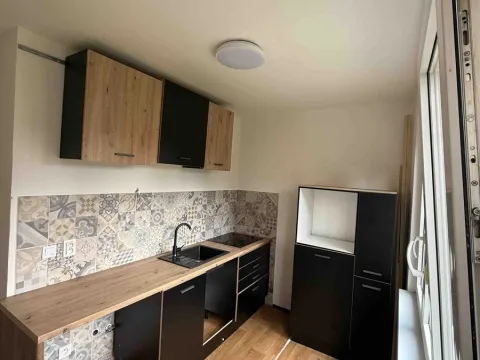 Pronájem bytu 2+1, Bílina, M. Švabinského, 53 m2