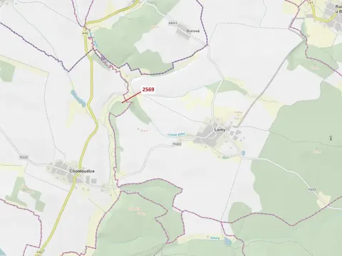 Dražba lesa, Chotěbudice, 155 m2