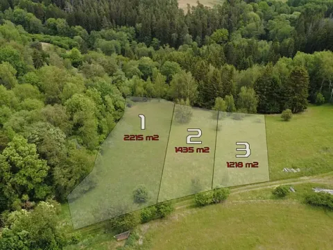 Prodej pozemku pro bydlení, Planá, 1435 m2