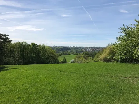 Prodej louky, Praha - Nebušice, U Gabrielky, 24023 m2