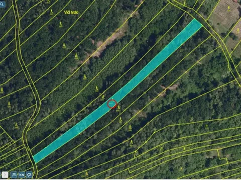 Prodej lesa, Kobylí, 2800 m2