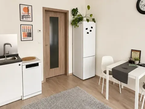 Pronájem bytu 1+kk, Praha - Třebonice, Do zahrádek II, 30 m2