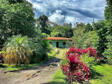 Prodej rodinného domu, Sarapiquí, Kostarika, 200 m2