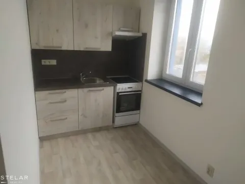 Pronájem bytu 1+1, Opava - Předměstí, Rybářská, 25 m2
