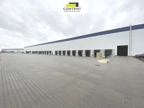 Pronájem výrobních prostor, Hladké Životice, Kujavská, 19200 m2