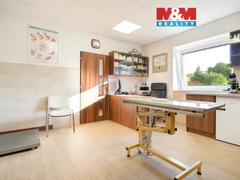 Prodej obchodního prostoru, Lázně Bohdaneč, Škroupova, 202 m2