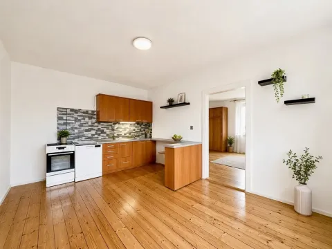 Prodej bytu 2+kk, Ústí nad Labem - Klíše, Klíšská, 54 m2