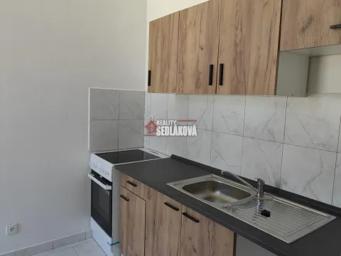 Pronájem bytu 1+1, Děčín - Děčín II-Nové Město, Horská, 40 m2