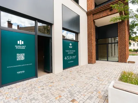 Pronájem obchodního prostoru, Praha - Nusle, Bělehradská, 46 m2