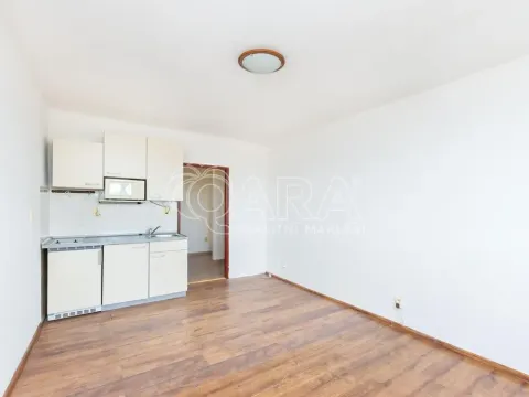 Prodej bytu 1+kk, Tábor, Budějovická, 24 m2