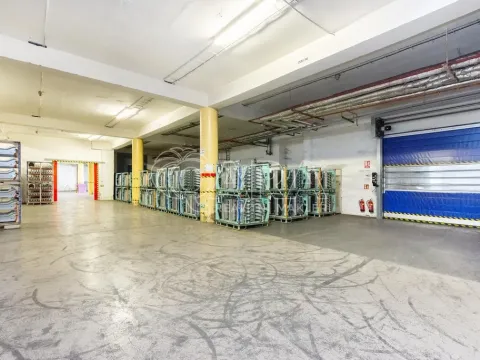 Pronájem skladu, Písek - Budějovické Předměstí, U Vodárny, 3620 m2