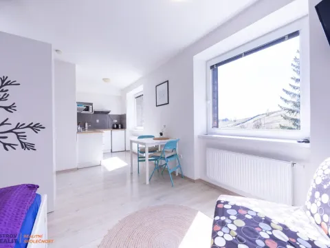 Prodej apartmánu, Staré Město - Stříbrnice, 30 m2