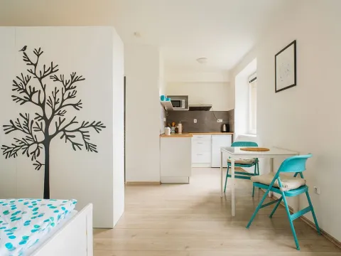 Prodej apartmánu, Staré Město - Stříbrnice, 30 m2