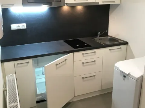 Pronájem bytu 1+kk, Brno - Sadová, Kyselkova, 30 m2