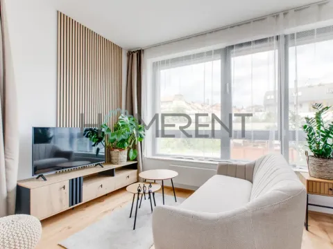 Pronájem bytu 1+kk, Praha - Nusle, Závišova, 30 m2