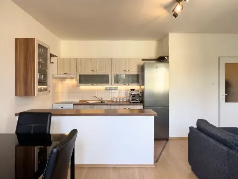 Pronájem bytu 2+kk, České Budějovice - České Budějovice 3, Riegrova, 41 m2