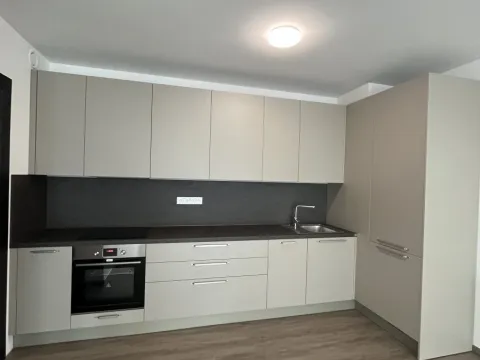 Pronájem bytu 2+kk, Olomouc - Nová Ulice, Třída Jiřího Pelikána, 56 m2