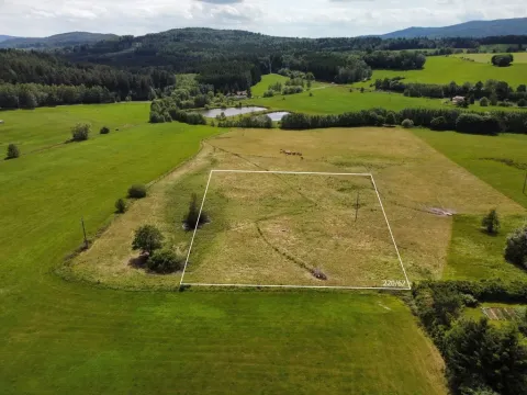 Prodej pozemku pro bydlení, Česká Kubice - Starý Spálenec, 2459 m2