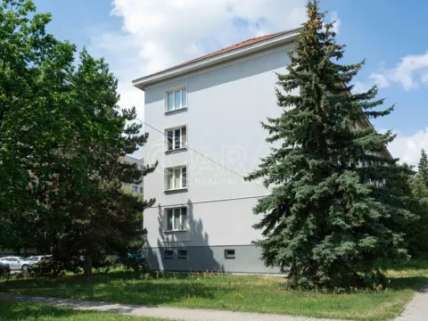 Pronájem bytu 1+1, Neratovice, Dr. E. Beneše, 39 m2