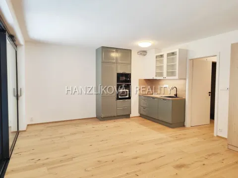 Pronájem bytu 1+kk, České Budějovice - České Budějovice 3, Fráni Šrámka, 41 m2