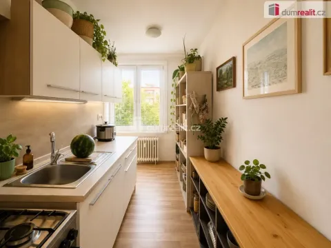 Pronájem bytu 3+1, Ústí nad Labem - Severní Terasa, Svojsíkova, 65 m2