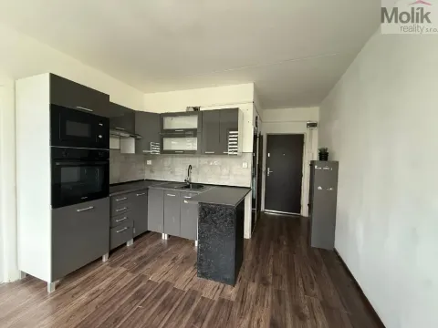 Pronájem bytu 2+1, Bílina - Teplické Předměstí, Sídliště Za Chlumem, 52 m2