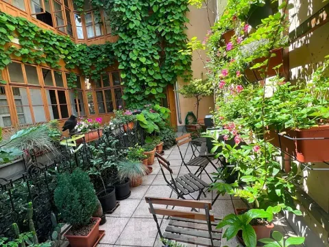 Pronájem bytu 1+1, Praha - Nové Město, Petrská, 37 m2