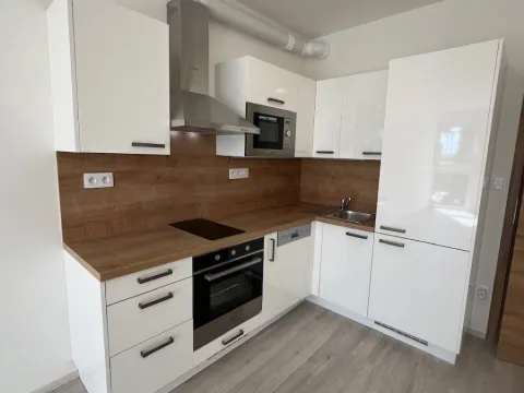 Pronájem bytu 1+kk, Plzeň - Jižní Předměstí, Goldscheiderova, 29 m2