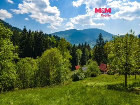 Prodej pozemku pro bydlení, Ostravice, 3902 m2
