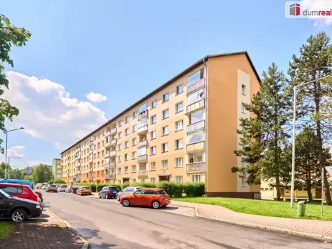 Prodej bytu 1+1, Horní Slavkov, Dlouhá, 38 m2