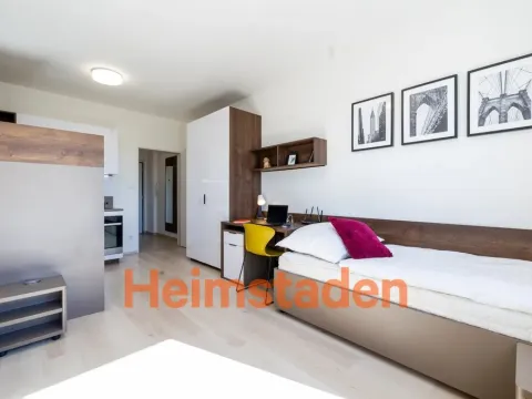 Pronájem bytu 1+kk, Plzeň-Jižní Předměstí, Magisterská, 29 m2
