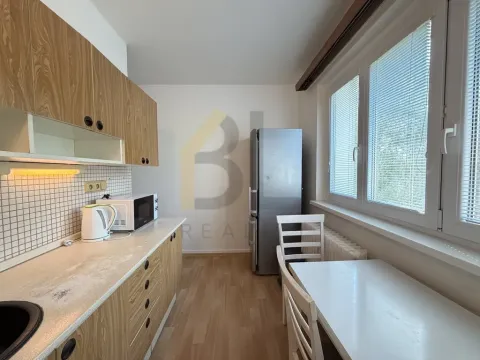 Pronájem bytu 3+1, Hodonín, Cihlářská čtvrť, 71 m2