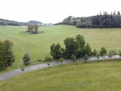 Dražba pozemku pro bydlení, Černá v Pošumaví, 4978 m2