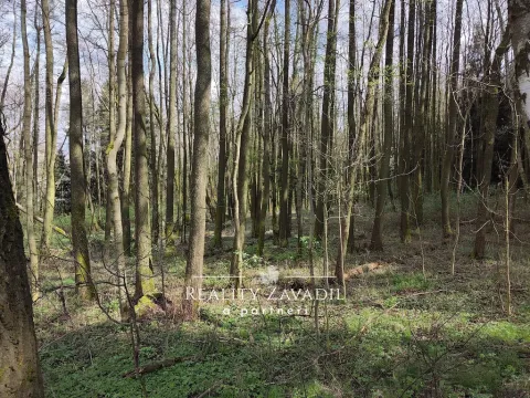 Prodej lesa, Sedlec-Prčice - Sušetice, 8504 m2