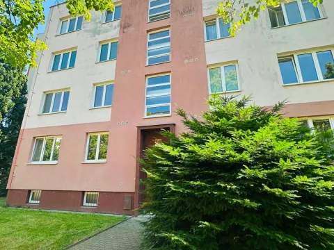 Prodej bytu 2+1, Plzeň, Brojova, 55 m2