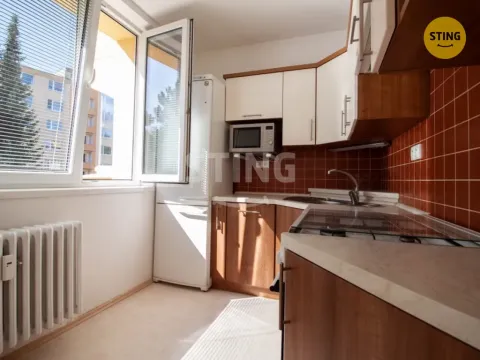 Pronájem bytu 1+1, Jihlava, Březinova, 33 m2